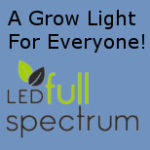 LED growlights