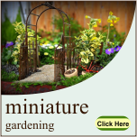 Miniature Garden